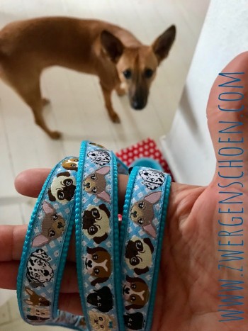 ♥WUFFz♥ Ribbon DOGS Vichy BLUE