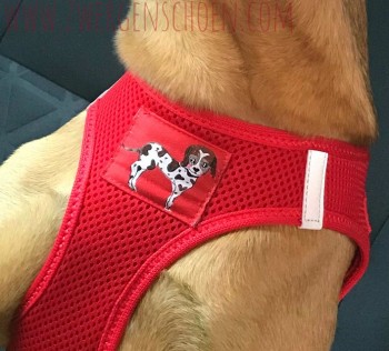 ♥PUPPY on RED♥ WOVEN LABEL 5x5cm DOG PUPPY Label