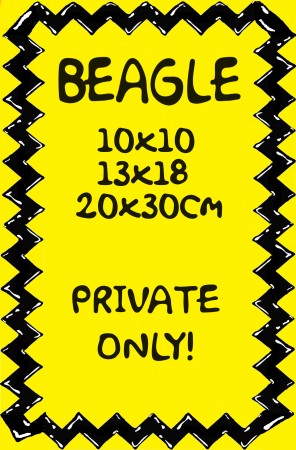 private BEAGLE 10x10 13x18 20x30cm